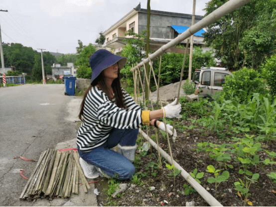 【巾帼扶贫故事】王丽：服务群众是我最幸福的事