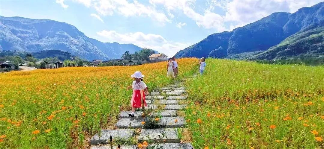 【美丽家园·美丽庭院】江口县：太平镇云舍村