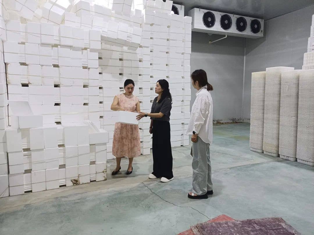 【科技创新，巾帼行动】思南县100余名妇女主动走进课堂，学习科技助农新技能