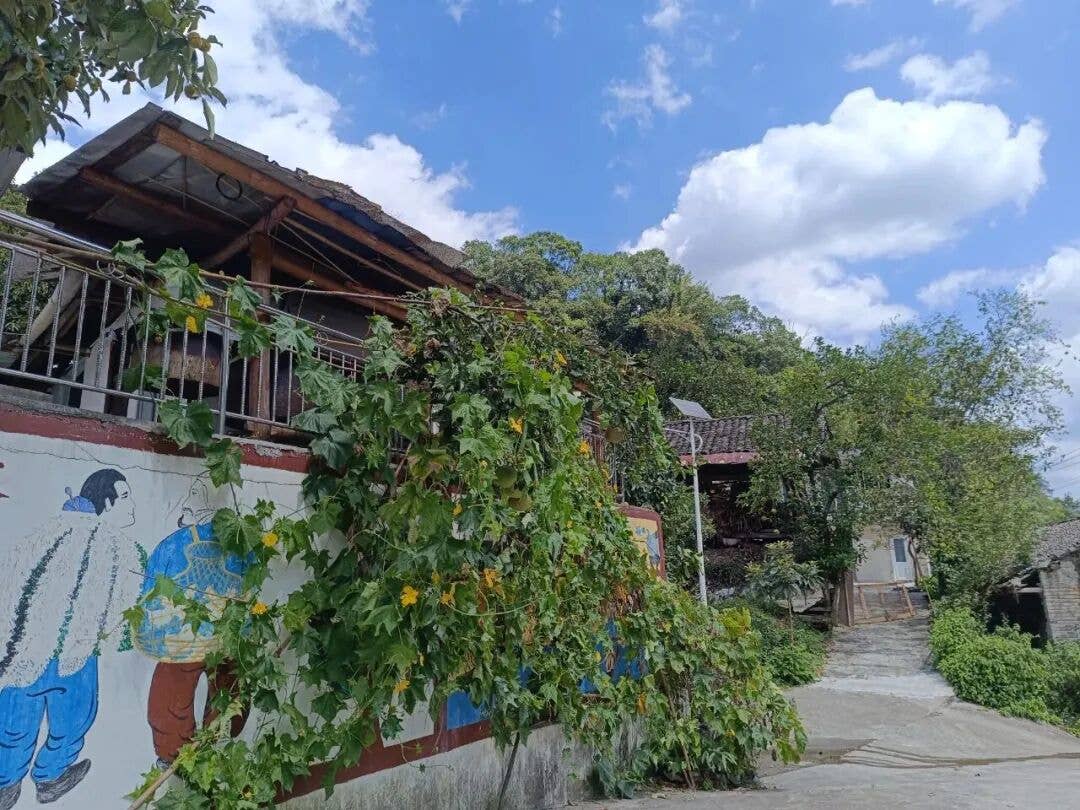 铜仁市卫生家庭建设行动 美丽家庭美丽庭院展播